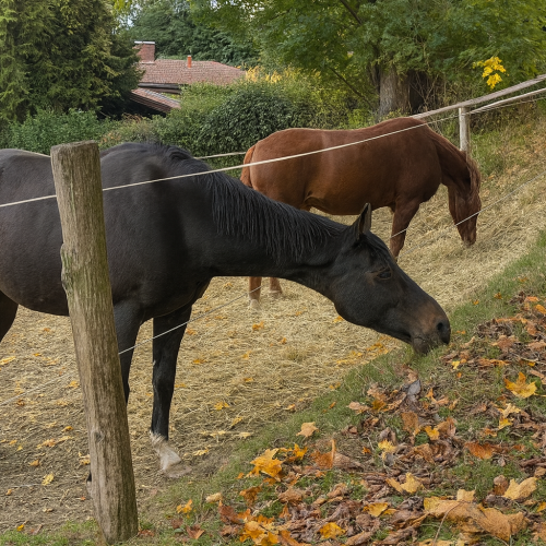 ChatGPT Image 5. Dez. 2025, 18_03_51